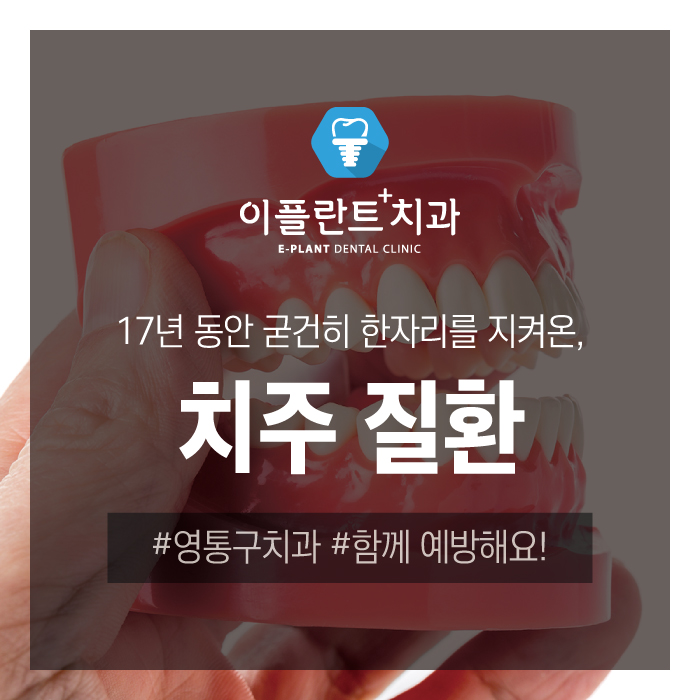 이플란트치과 이미지