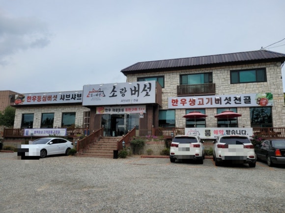 소랑버섯 이미지