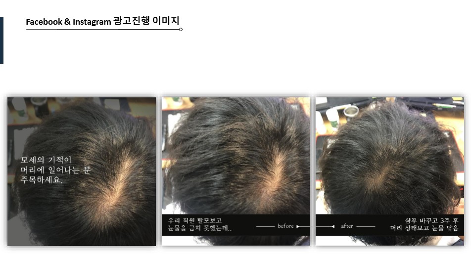 세정토탈솔루션 이미지