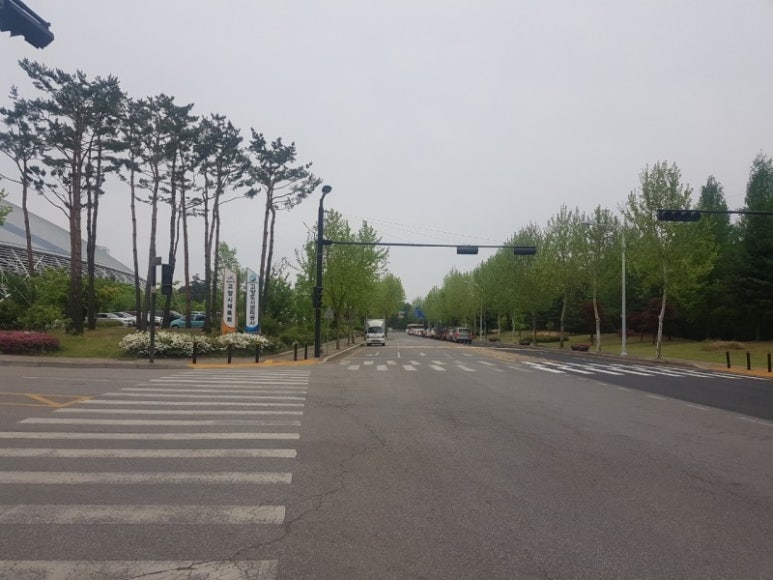 웰니스레포츠 이미지