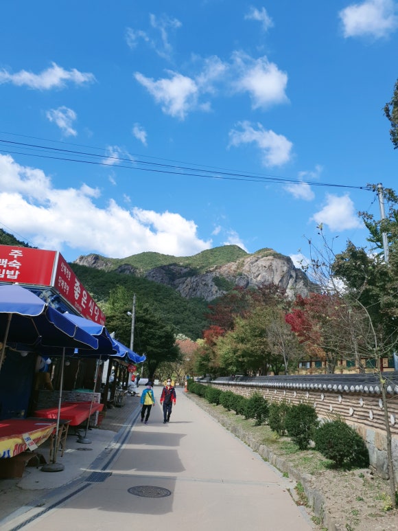 킴스마운틴커피클래스 이미지