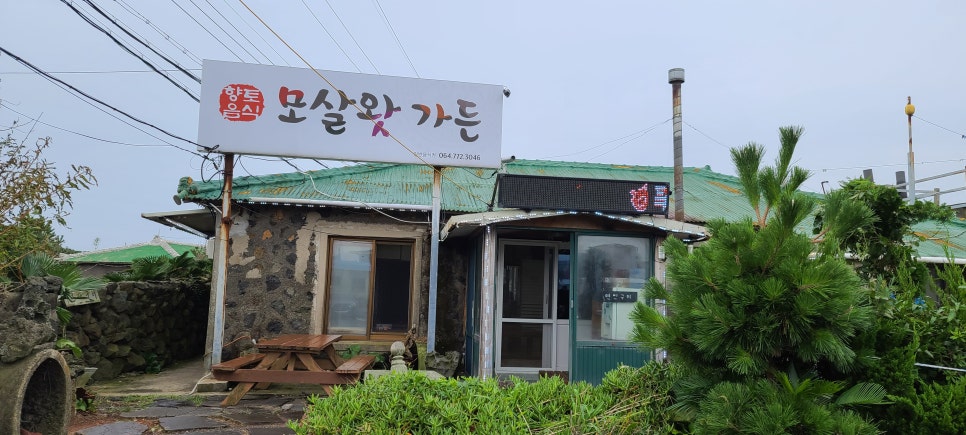 모살왓토종닭 이미지