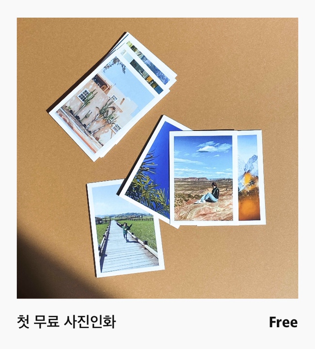 필라로이드 이미지