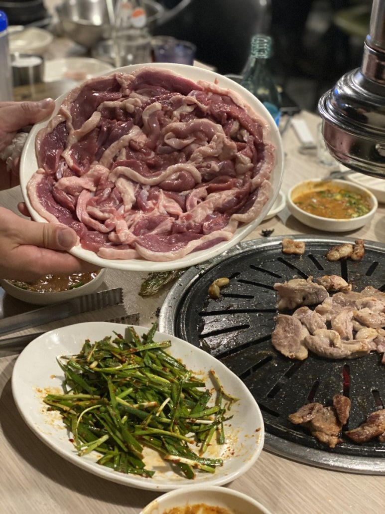 낙동생오리 이미지