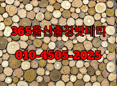 365자동차배터리출장밧데리교체 이미지