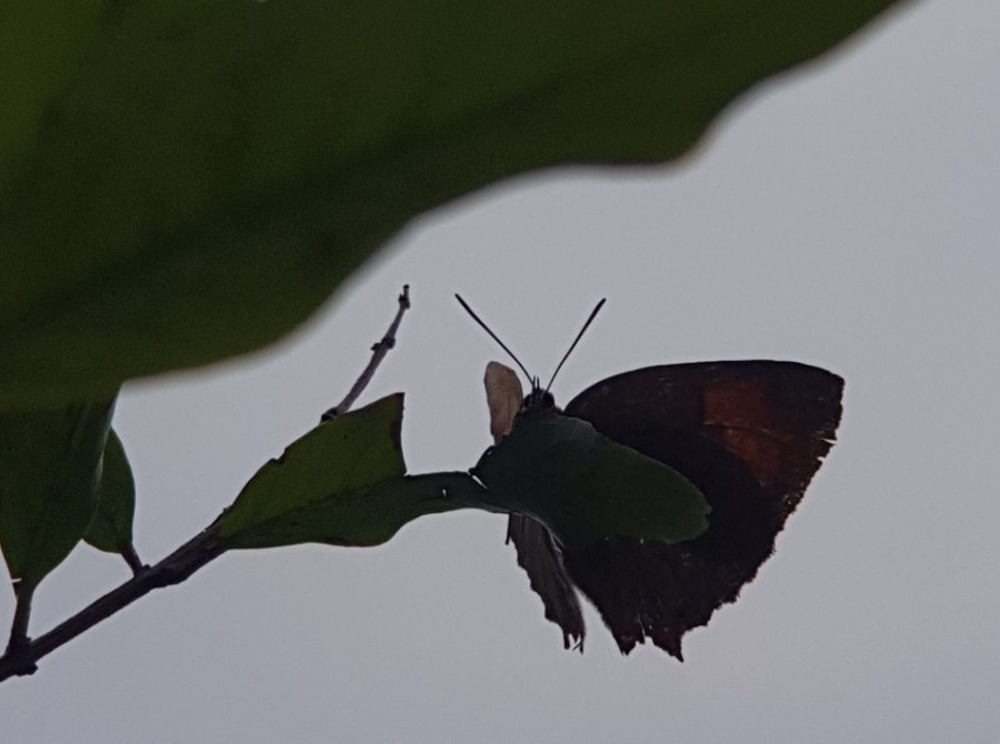 카톨릭병원 이미지
