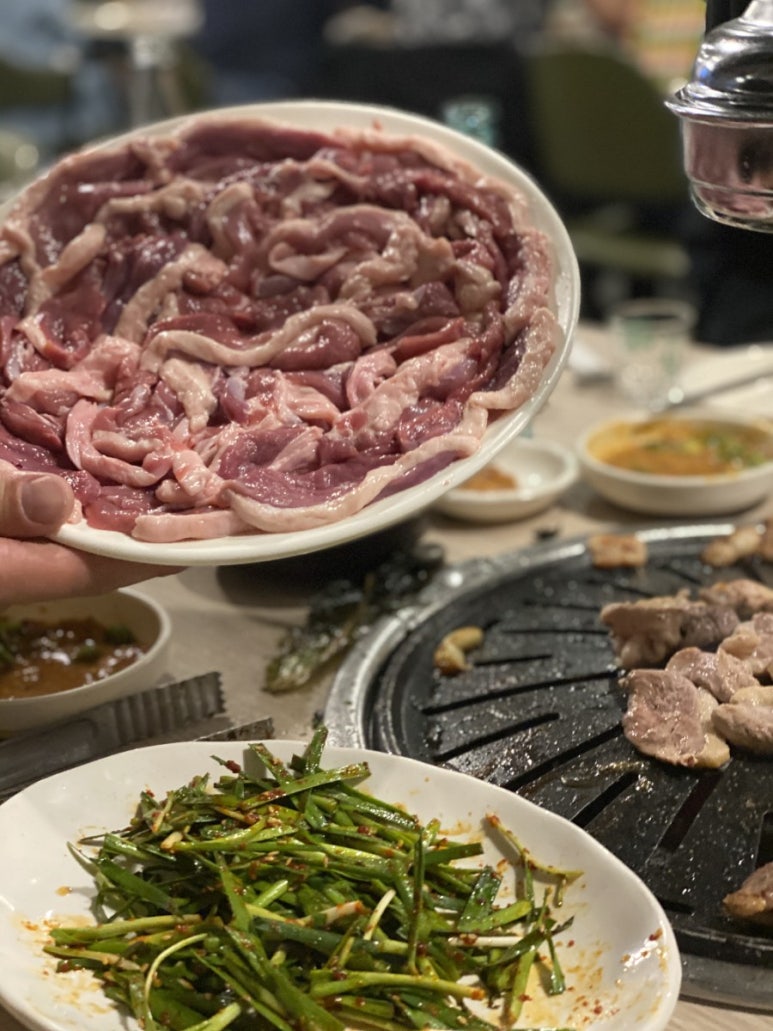 낙동생오리 이미지