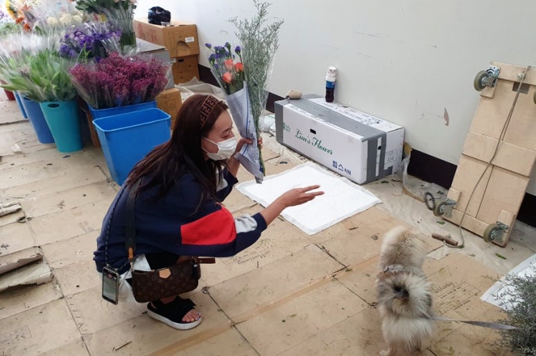 쁘렝땅플레르 이미지