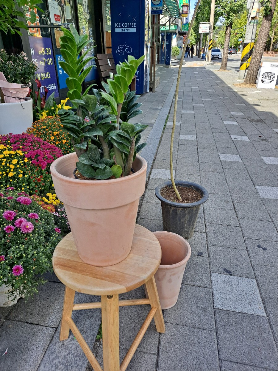 호박꽃집 이미지