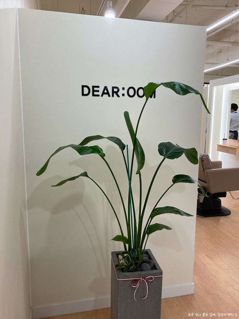 디어룸(Dear:oom) 이미지