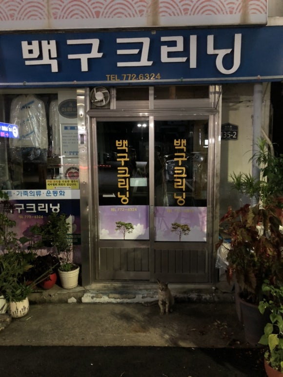 백구세탁소 이미지