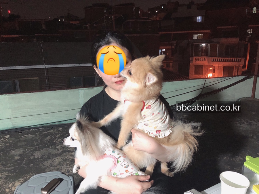 미트포레 이미지