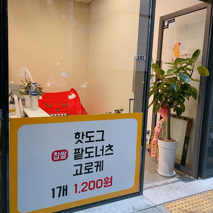 꽃보다꽈배기 이미지