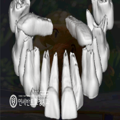 연세행복치과의원 이미지