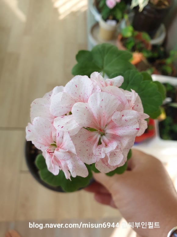 깨순이뷰티 이미지