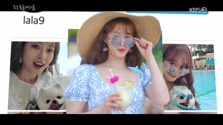 도도플라워 이미지
