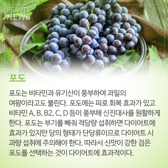 착한과일 이미지
