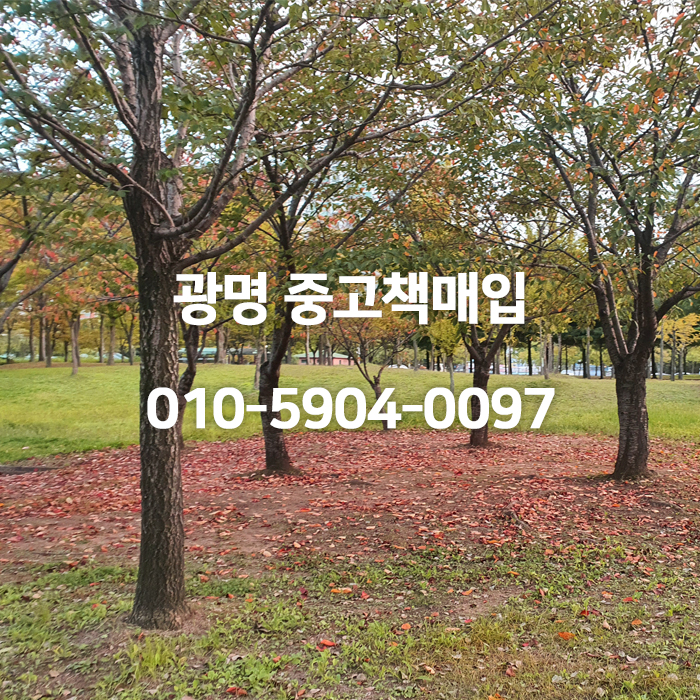 중고책한마음서적 이미지