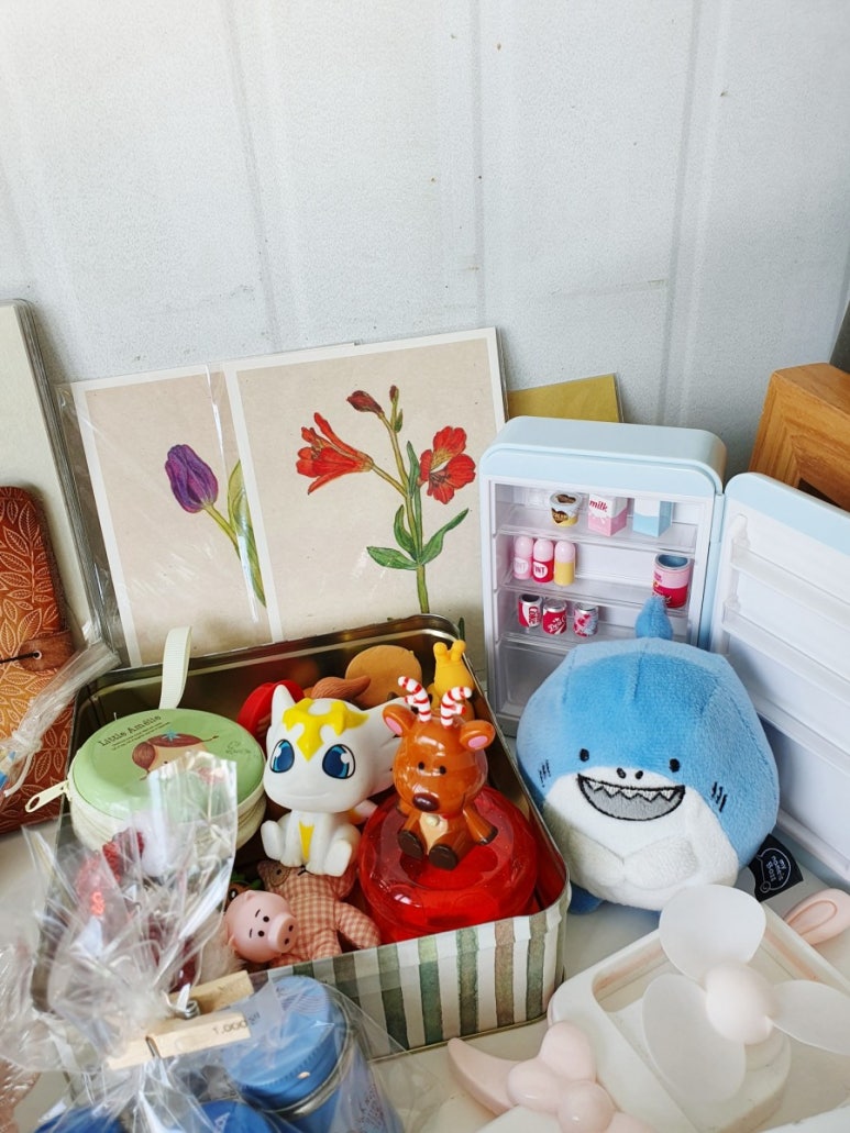 콩줌 이미지