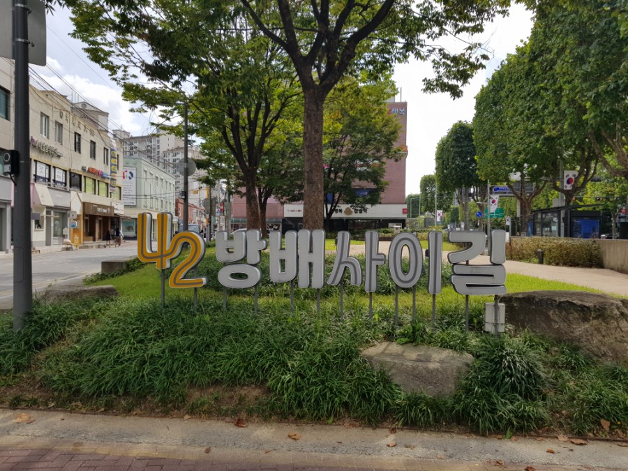 꼬나케이크 이미지