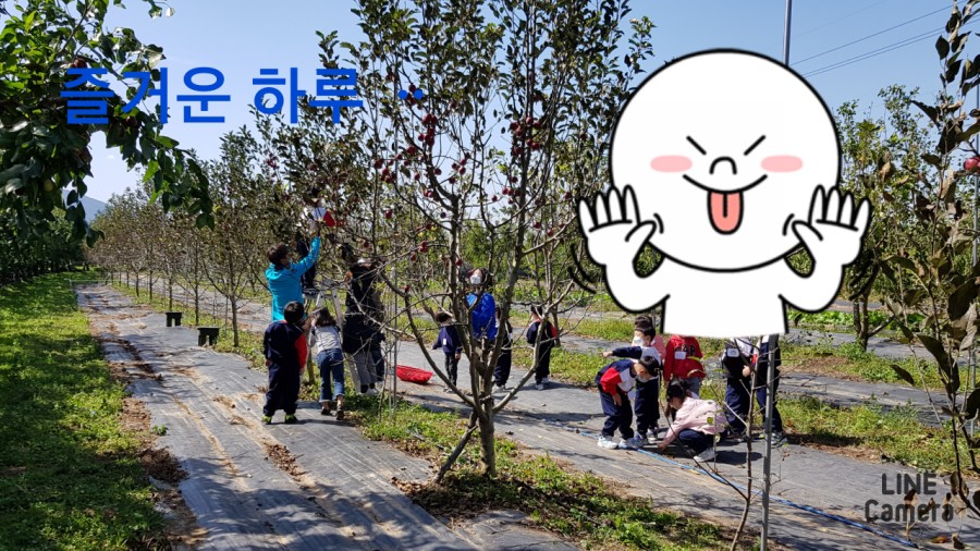 아트숲연수원아트숲연수원아리카페 이미지
