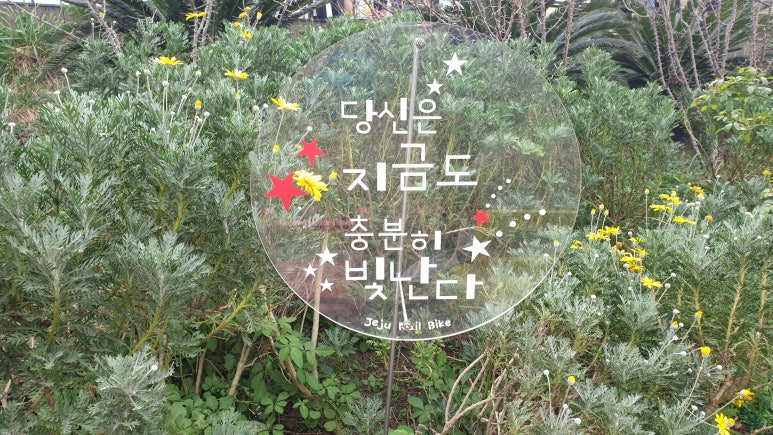 맘앤타르트 이미지