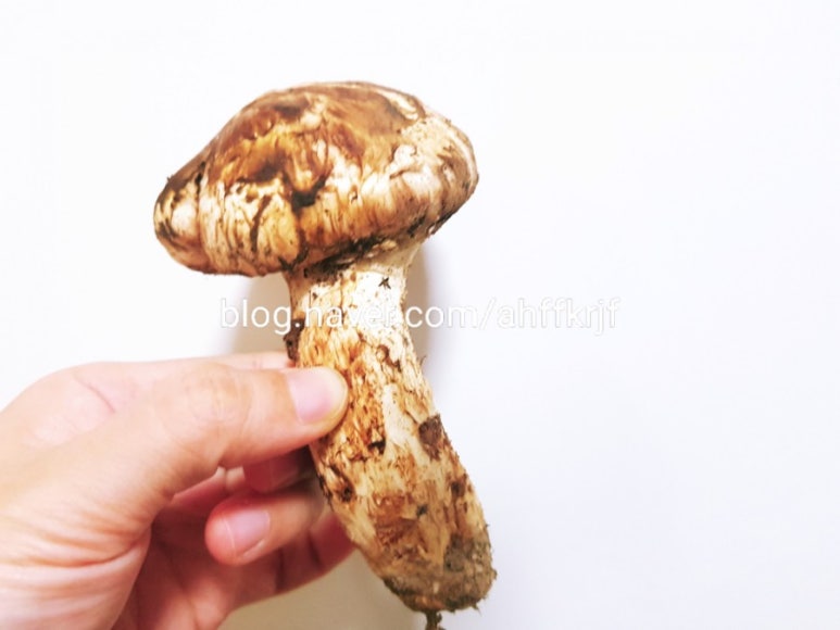 향기가득이마트 이미지