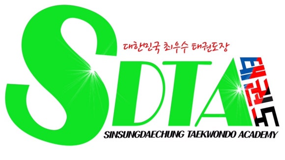 에스디티 이미지