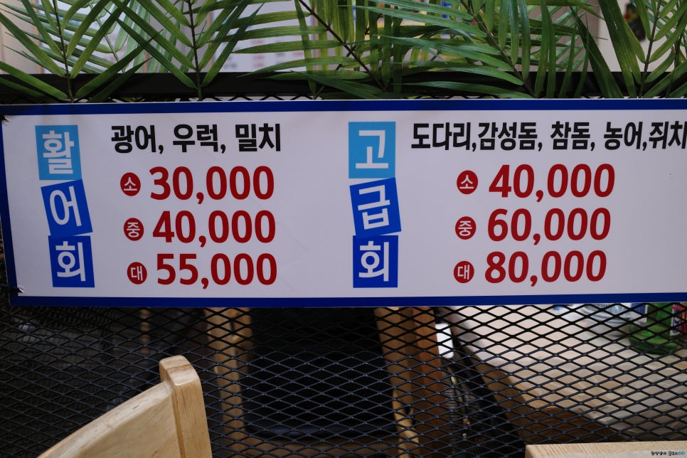 오늘도매횟집 이미지