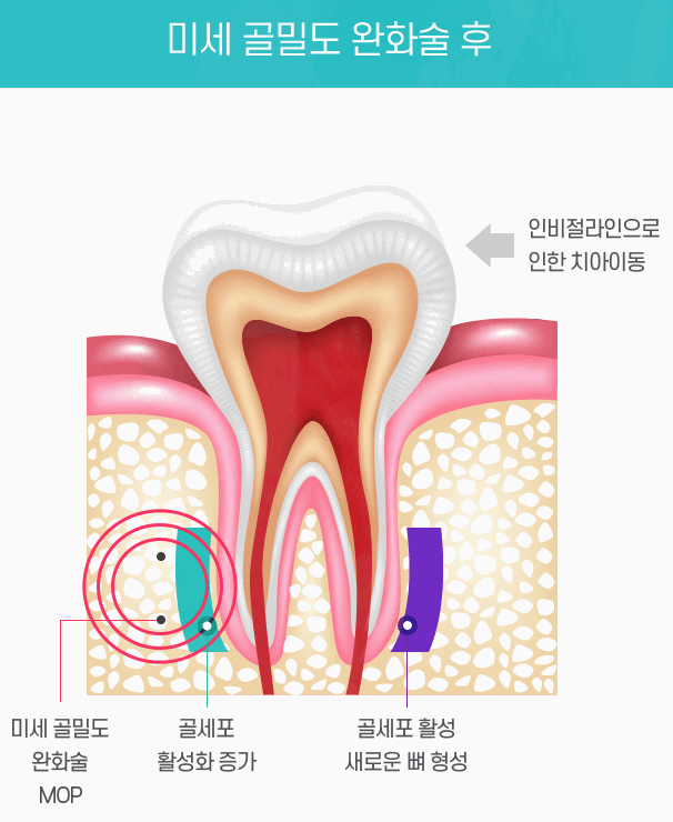 더뉴치과의원 이미지