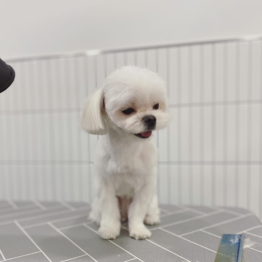 이뿌 미용실 이미지