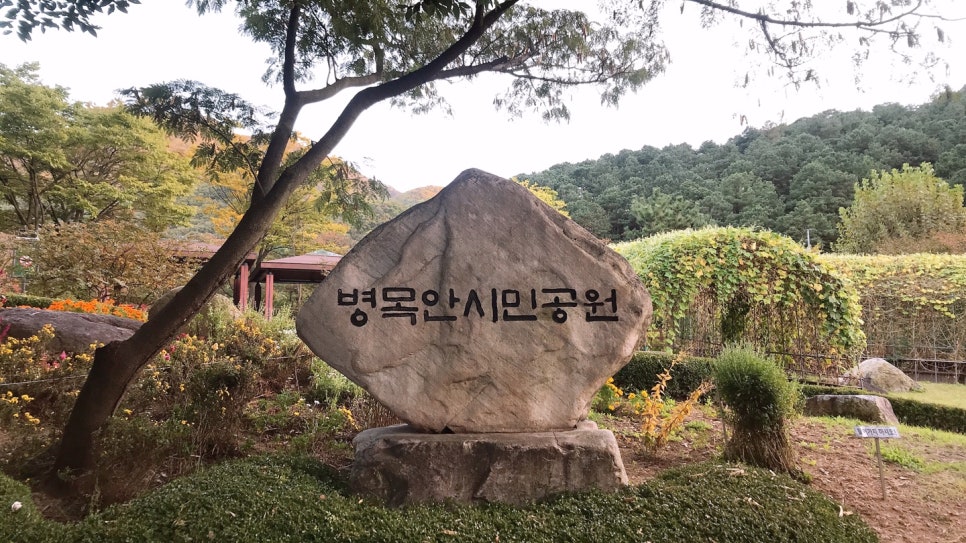 몽드림 이미지