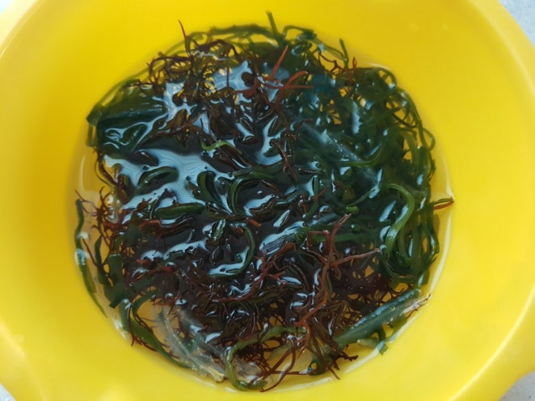 들과바다애 이미지