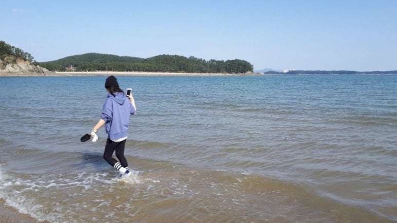 연포2020 이미지