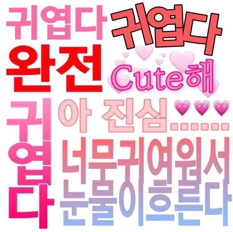 엔비씨 이미지