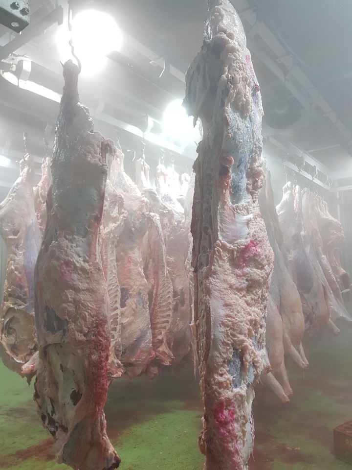 백두산유통 이미지