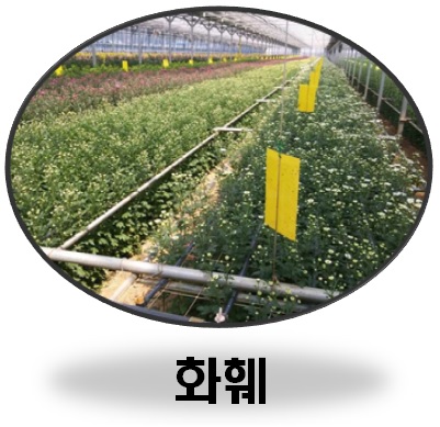 이씨에스 이미지