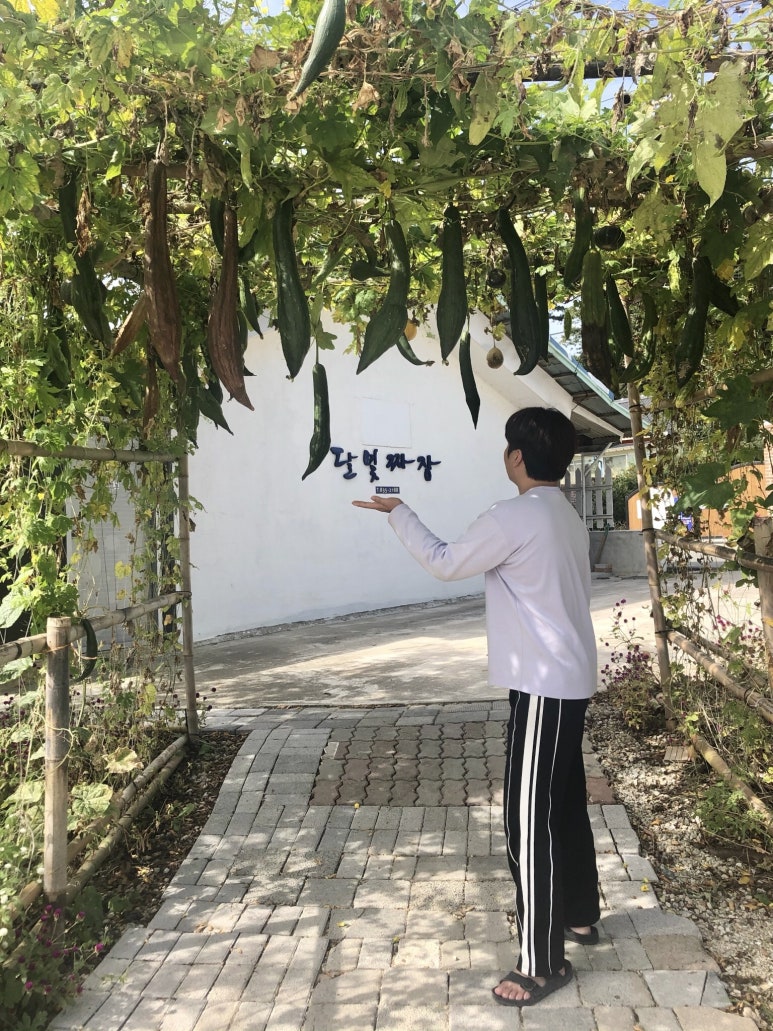 달빛짜장 이미지
