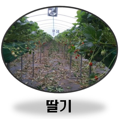 이씨에스 이미지