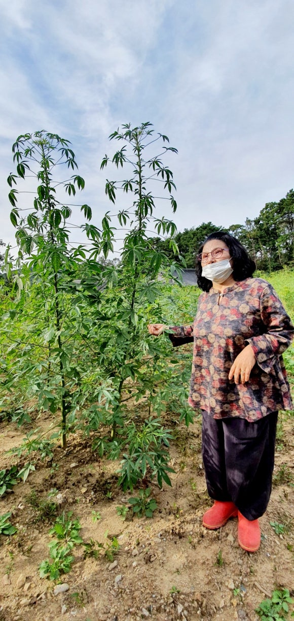 연남마실 이미지