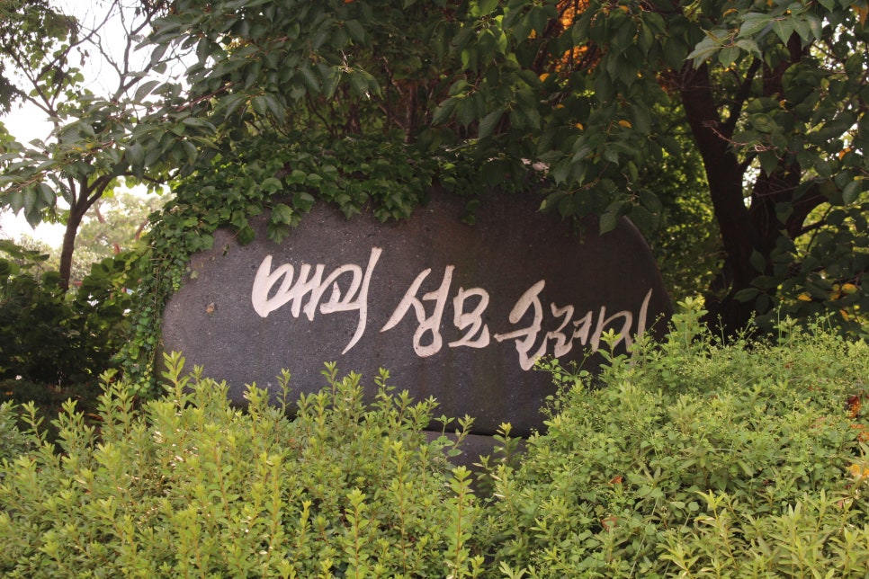 곡성당 이미지