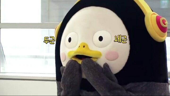 리플로라 이미지