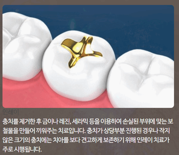 서울본치과의원 이미지