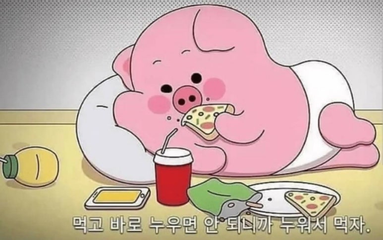 이차돌전주 이미지