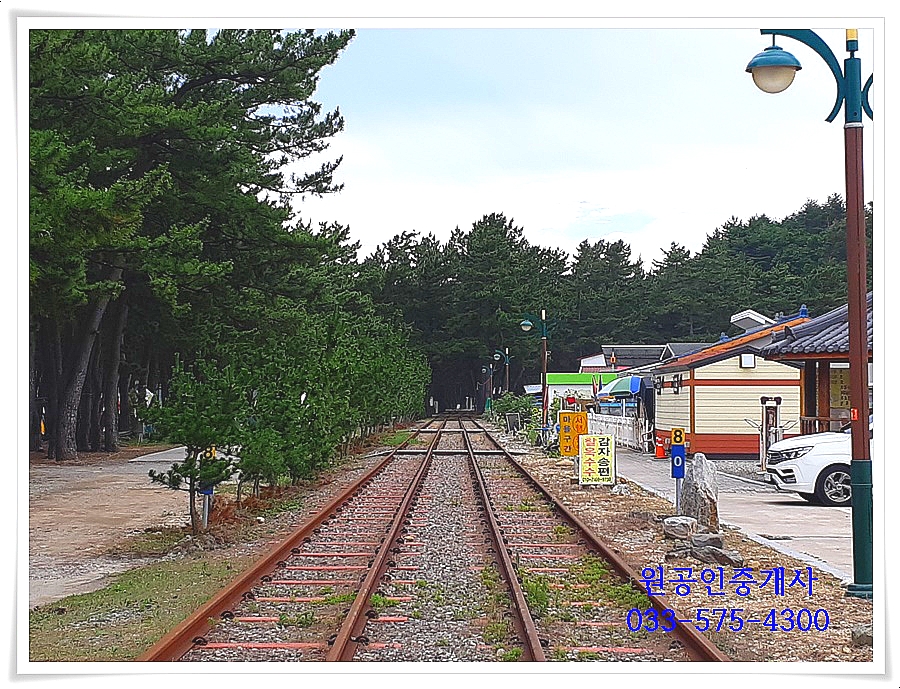 (주)용화관광 이미지