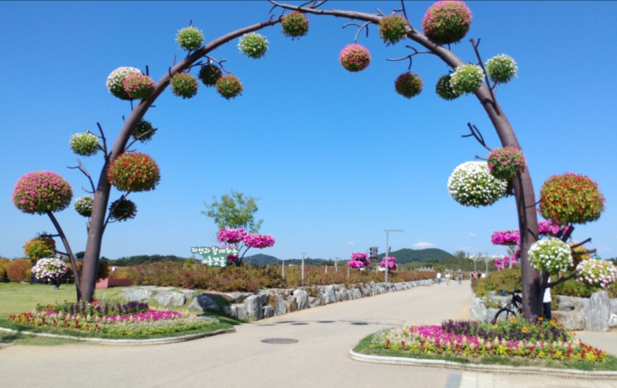 찬해봄 이미지