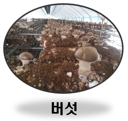 이씨에스 이미지