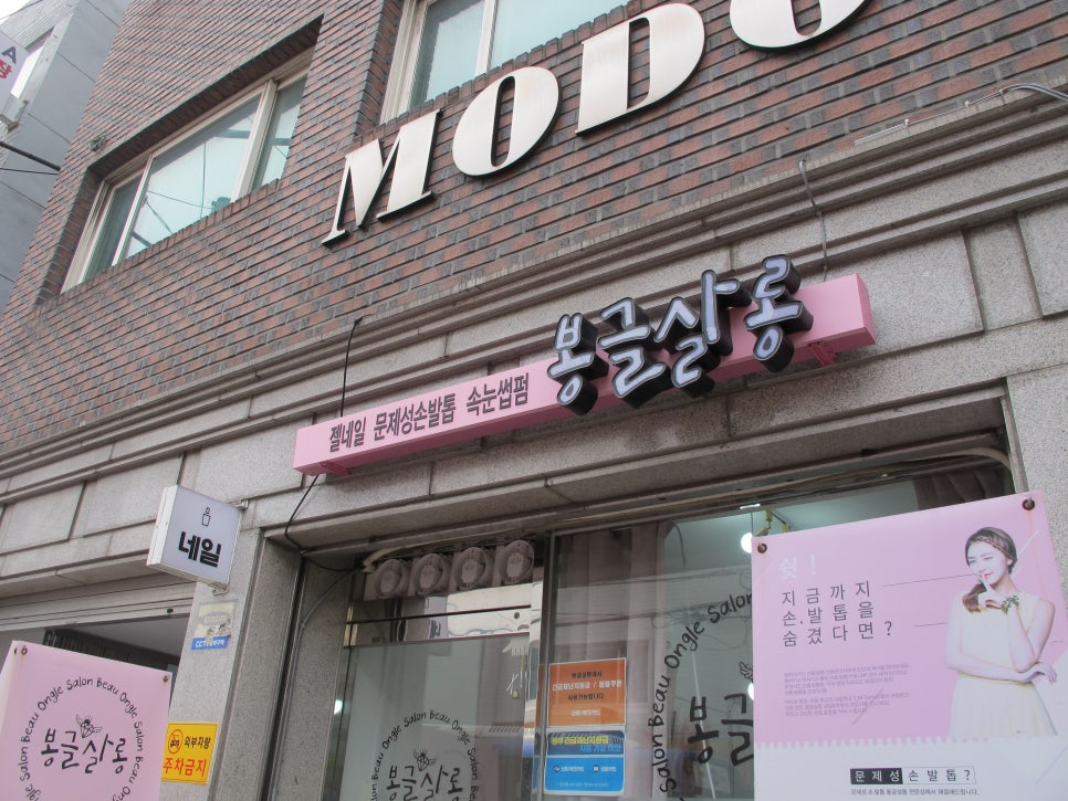 봉글살롱 이미지