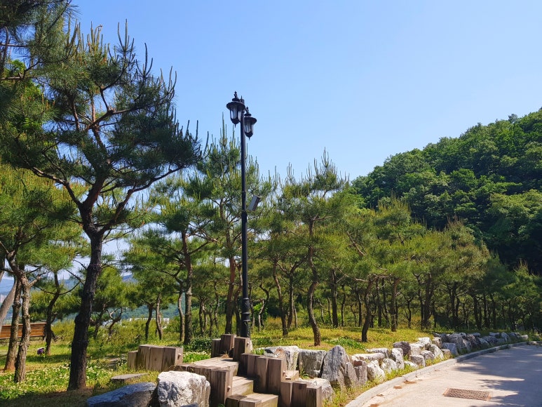 분당수목장 이미지