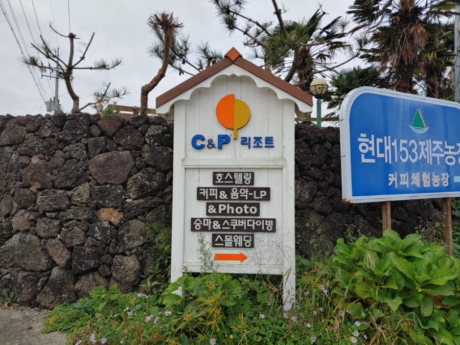 정도씨앤피 이미지